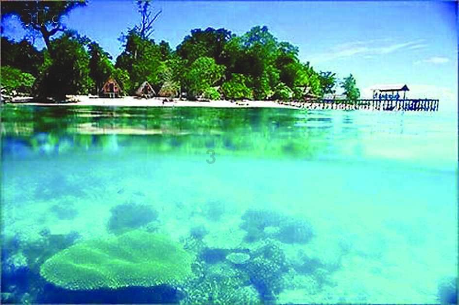 河南：春节期间不影响交通安全、秩序，酌情免罚