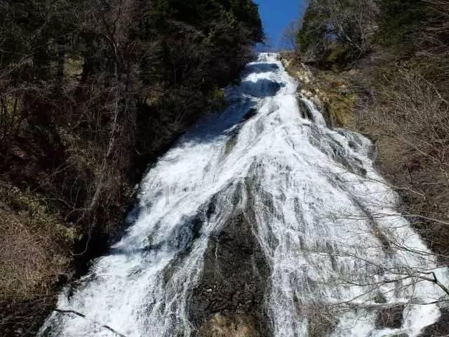 强化应急响应  主动担当作为  全力做好低温雨雪冰冻灾害防范应对
