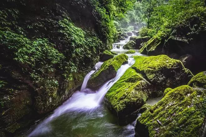 四川瓦屋山大量游客因排队坐索道夜间滞留数小时,景区:已限流